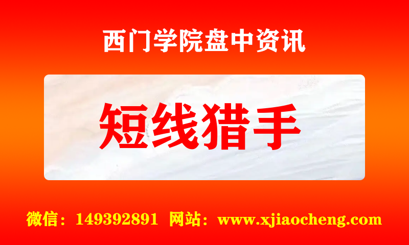 短线猎手 实时盘中直播圈子实盘资讯官方付费直播 钉钉群实时转发无延迟